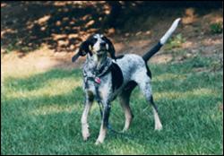 Click to view exif information